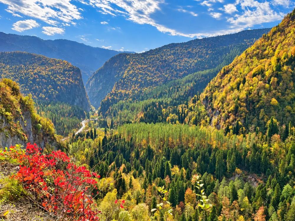 Дорога на Рицу, ранняя осень
